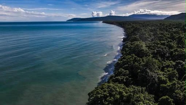 Resmi! Wilayah di Kepala Burung Papua Ini Diketok Jadi Zona Konservasi – Publik Pos Update