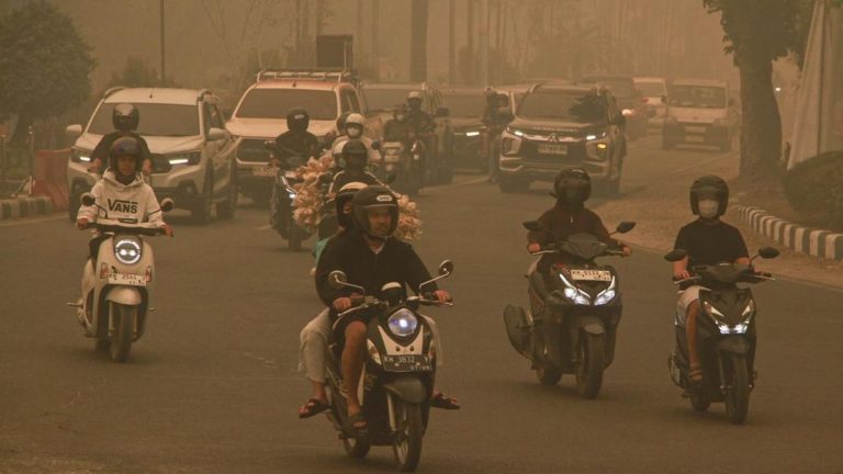 APBD Terkuras, Pemko Palangka Raya Sebut Tak Mampu Lagi Atasi Karhutla