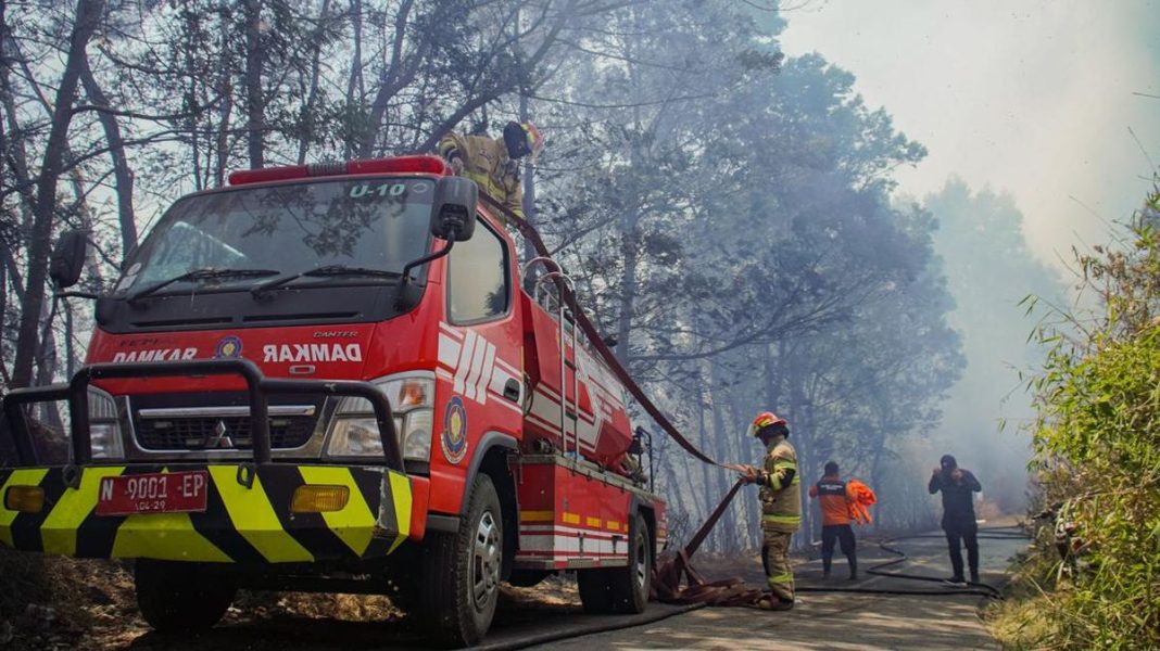 FOTO: Api Karhutla Bromo Meluas, Merembet Sampai ke Jemplang