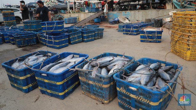 Zulhas Blak-blakan Ikan RI Dimaling Vietnam-Jepang Rp 200 T Setahun – Publik Pos Update