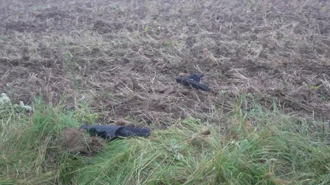 NATO Tembak Jatuh Drone Misterius Dekat Perbatasan Rusia, Milik Putin? – Publik Pos Update