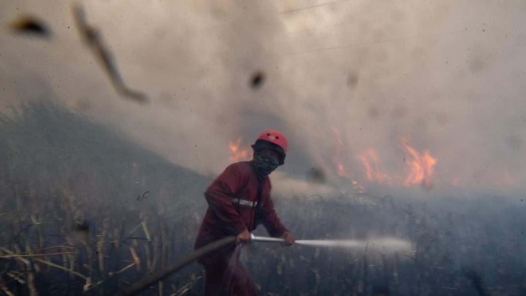 Hotspot Karhutla Jambi Tinggal 5 Titik, Peran Warga Disebut Jadi Kunci