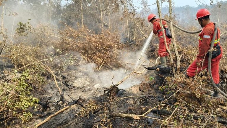 Tiga Tim Dikerahkan Tangani Karhutla di Taman Nasional Tanjung Puting