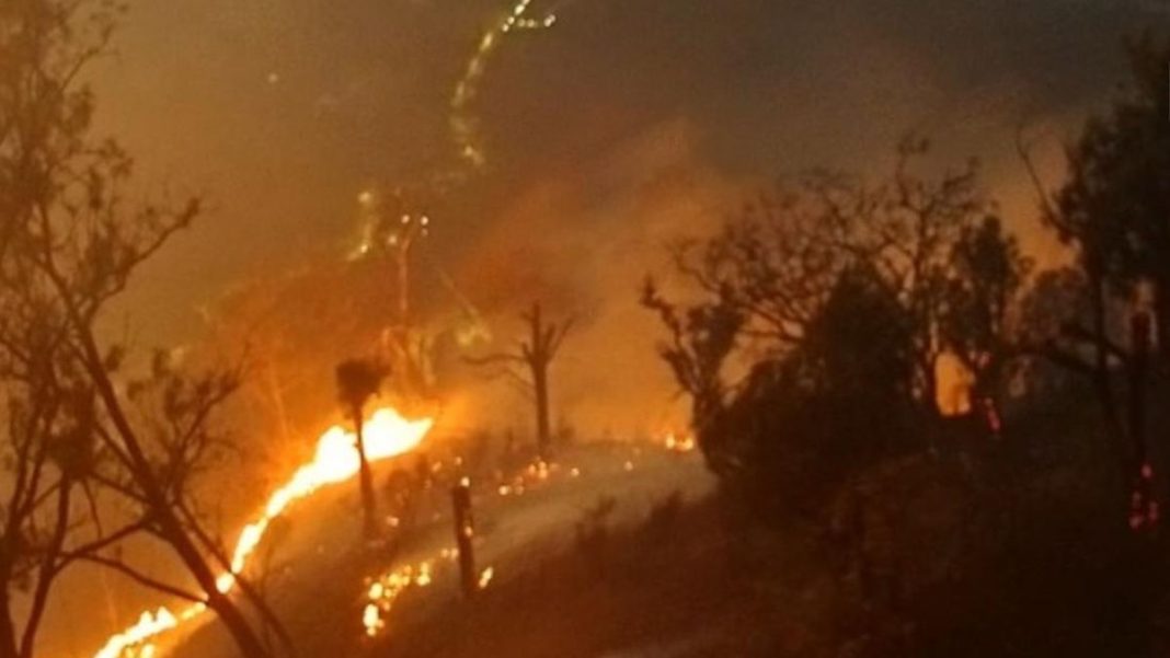 243 Individu dan 14 Korporasi Jadi Tersangka Biang Kerok Karhutla