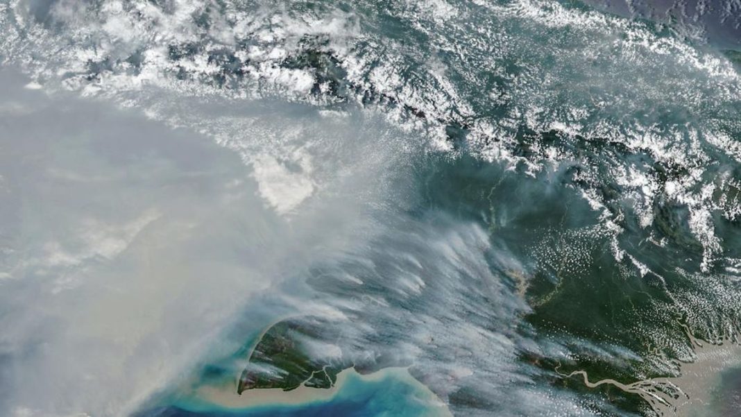 Jumlah Titik Panas Karhutla Papua Selatan Turun, Masih Ada 65 Hotspot