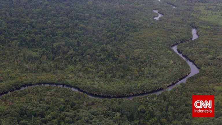 4 Titik Prioritas Penanganan Karhutla di Taman Nasional Tanjung Puting
