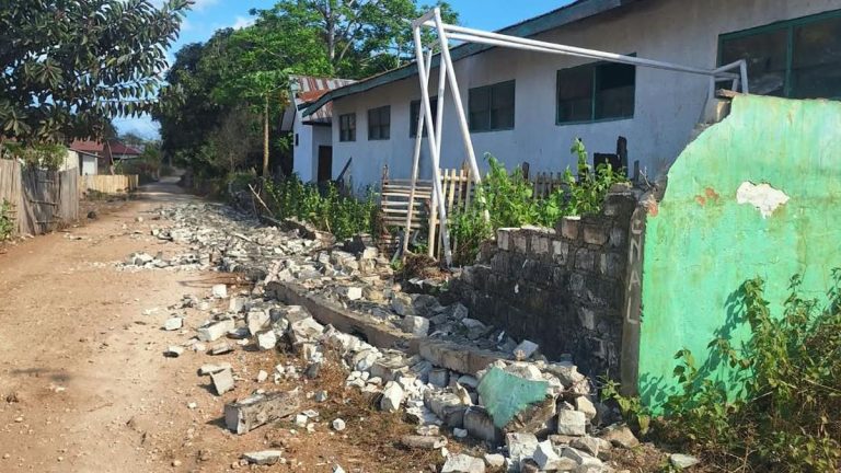 20 Rumah Rusak, 1 Warga Luka