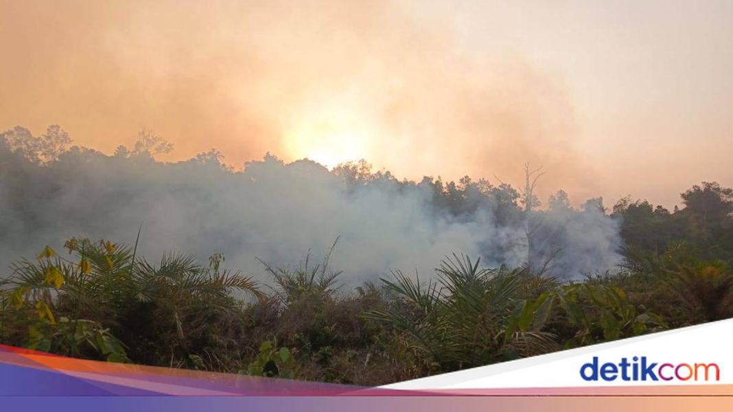 Pemerintah Belum Tetapkan Karhutla Jadi Bencana Nasional, Ini Alasannya