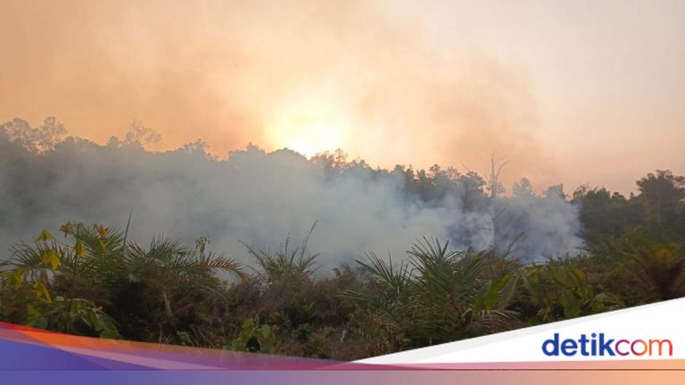 Pemerintah Belum Tetapkan Karhutla Jadi Bencana Nasional, Ini Alasannya
