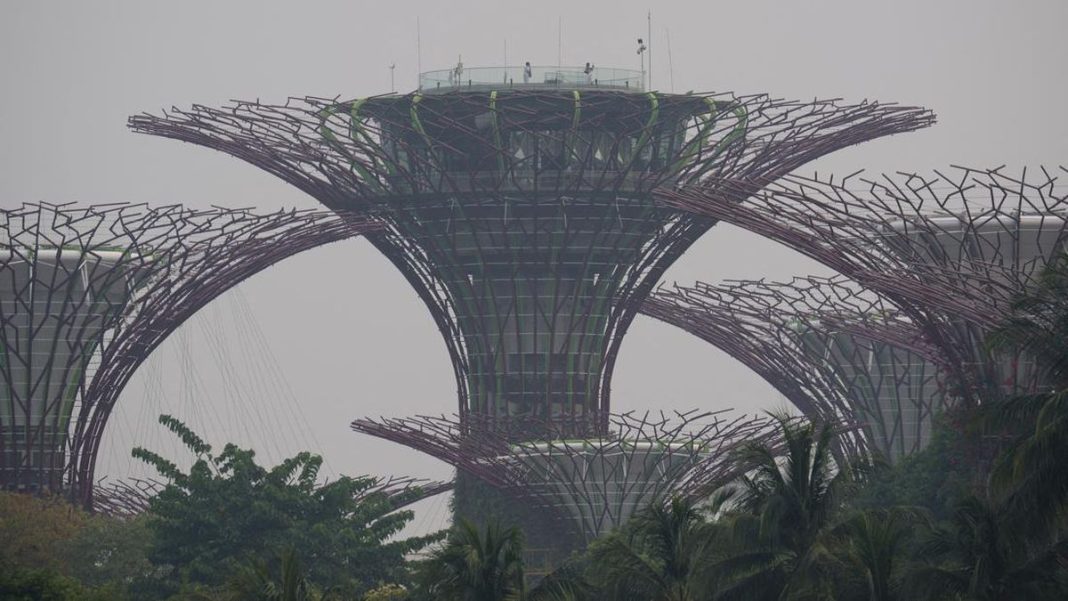 Menteri Singapura Beberkan Poin Penting Ini di Depan 8 Bos Sawit