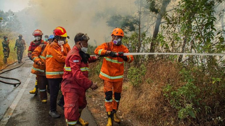 Dua Petugas Korban Karhutla Bromo Jalani Operasi Luka Bakar