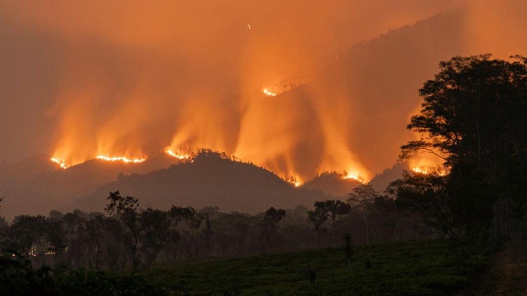 BNPB Pastikan Kebakaran Hutan di Toraja Utara Sudah Padam