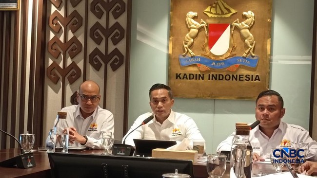 Pesan Anindya ke Anggota Kadin Usai 32 Perusahaan Kena Sanksi Karhutla – Publik Pos Update