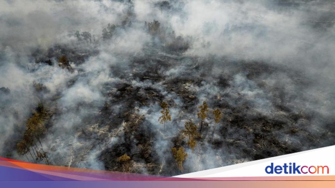 Api Membara hingga Asap Berbahaya