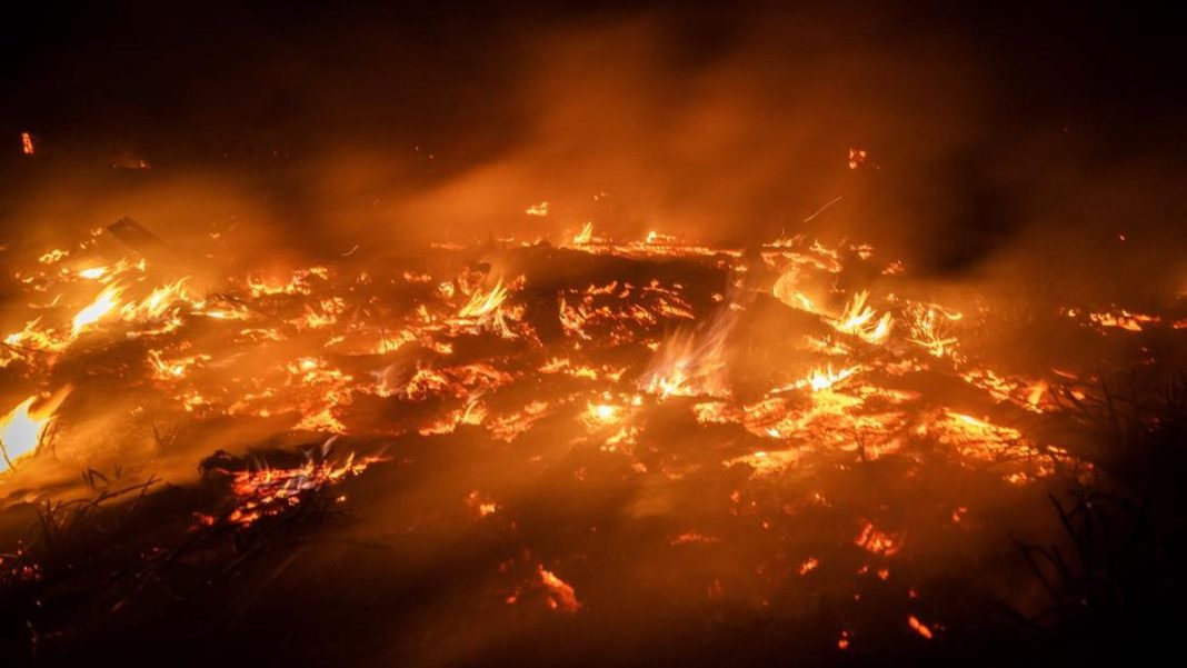 Polda Kalsel Ungkap Dugaan Pihak Asing di Kasus Pembakaran Lahan