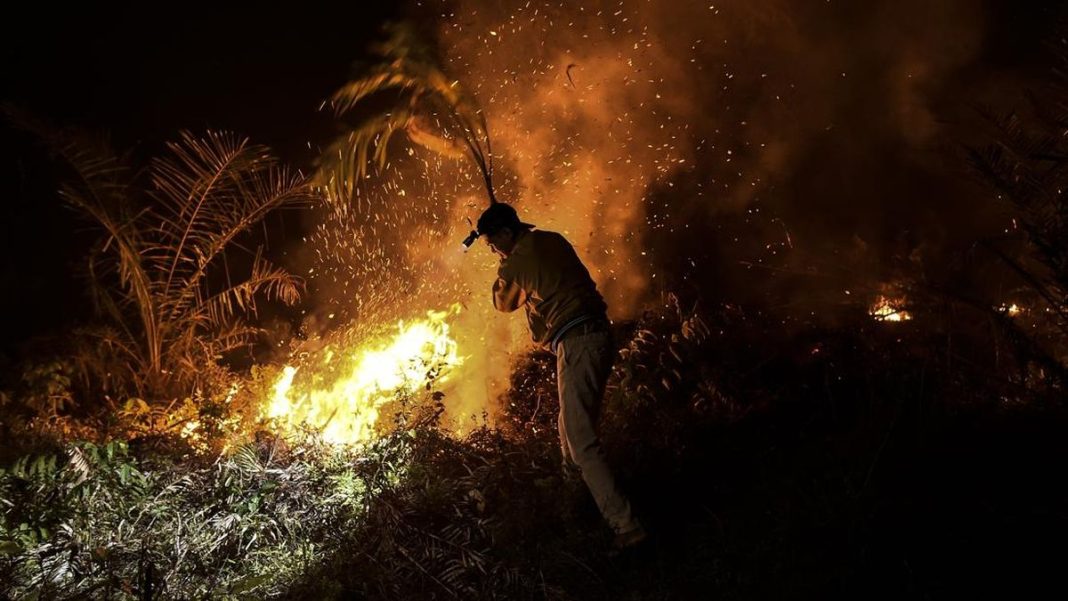 Prabowo Berikan Banpres Rp125 M untuk Penanganan Karhutla di Jambi