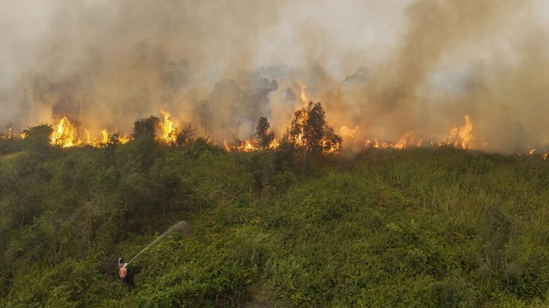 Karhutla di OKI Sumsel Meluas, Puluhan Hektare Sawah Ludes Terbakar