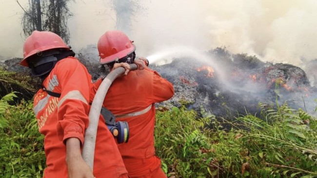 Bencana Karhutla Bertambah, BNPB Ungkap Lebih 7.000 Ha Masih Terbakar – Publik Pos Update