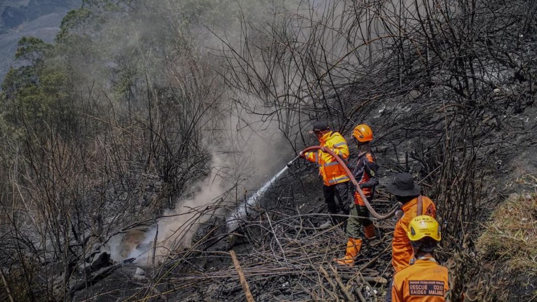 Petugas Tewas Imbas Karhutla Bromo Bertambah Jadi 4 Orang