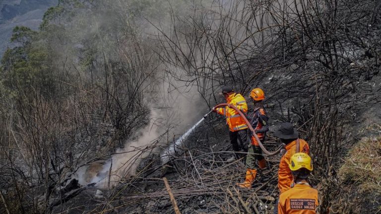 Petugas Tewas Imbas Karhutla Bromo Bertambah Jadi 4 Orang