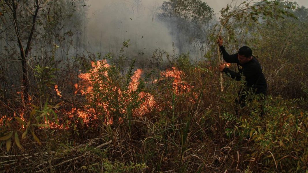 Malaysia Tawarkan Bantuan Pesawat dan Heli Atasi Karhutla