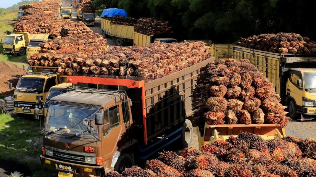 Bisnis Sawit Haji Isam Raup Penjualan Rp3,52 T, Biodiesel Jadi Andalan