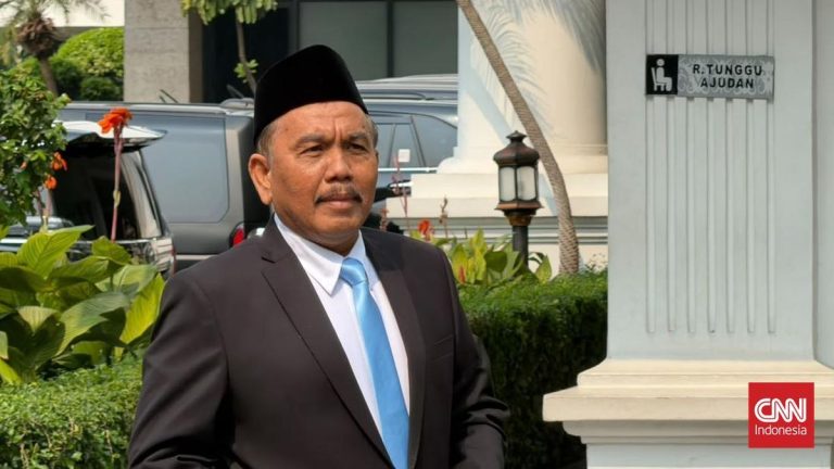 Profil Syahganda Nainggolan, Aktivis Jadi Kepala Bakom Gantikan Qodari