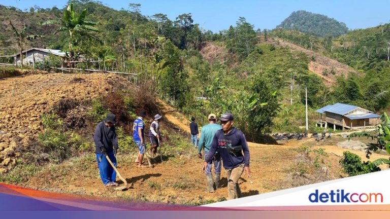 TEP UB Perbaiki Jembatan Lapuk demi Buka Akses Petani Kopi Mamasa